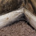 How to Tell if Air Quality Has Improved After Professional Duct Cleaning in Coral Springs, FL