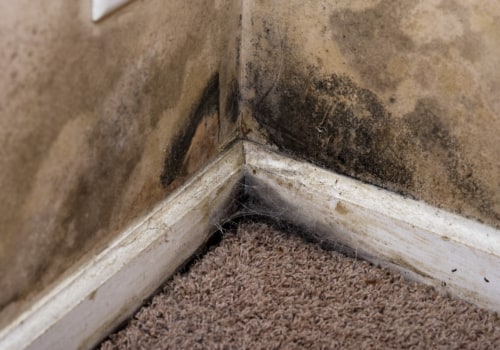 How to Tell if Air Quality Has Improved After Professional Duct Cleaning in Coral Springs, FL